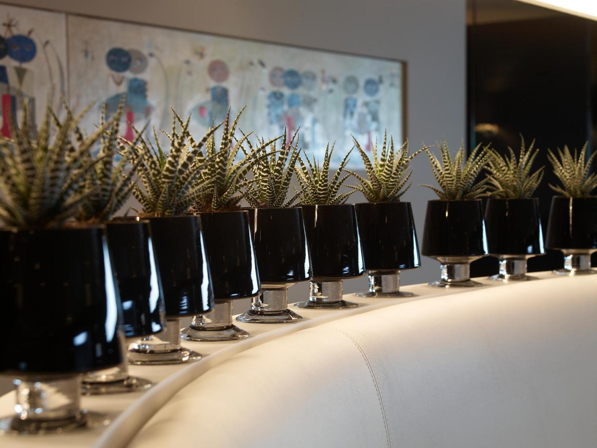 Shamrock Hotel 3*
